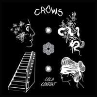 Crows - Cold Comfort