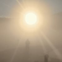 Florian T M Zeisig - A New Life