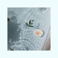 Coffv - Summer Romance