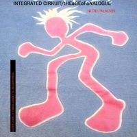 Integrated Cirkuit - The Age of Analogue
