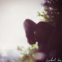 herbal tea - Hear As The Mirror Echoes