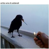 The Chainsmokers - White Wine & Adderall