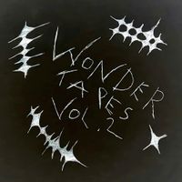 Ross Wonder - Wonder Tapes, Vol. 2