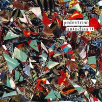 Pedestrian - UnIndian II