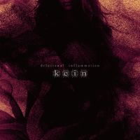 Kein - Delusional Inflammation