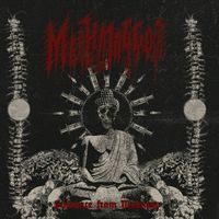 Methmaggot - Guidance from Madness