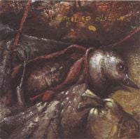 Controlled Bleeding - Dub Songs From A Shallow Grave