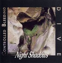 Controlled Bleeding - Night Shadows