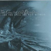 Controlled Bleeding - Can You Smell The Rain Between