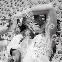 Bj&ouml;rk - Vespertine (Japanese Edition)