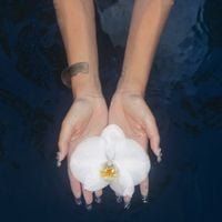no na - orchids (lullabies)