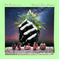 The Bennies - Natural Born Chillers