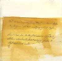 Pauline Oliveros - Summer Bugs