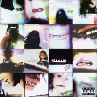 Cochise - BRACES
