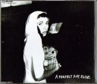 PJ Harvey - A Perfect Day Elise
