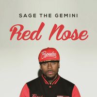Sage the Gemini - Red Nose