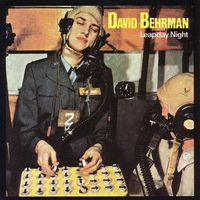 David Behrman - Leapday Night