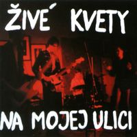 Živ&eacute; Kvety - Na mojej ulici
