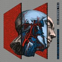 The Horrorist - Separate Dimension