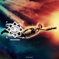 Wave Painter - Vita Incerta