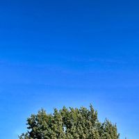 San Mitch - The Worst Weather Since January