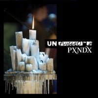 Panda - MTV Unplugged
