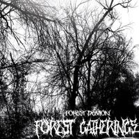Forest Demon - Forest Gatherings