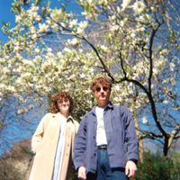 Davoli - Tarmac Trees