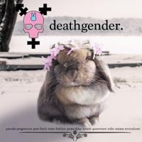 deathgender - pseudo-progressive post-futch trans-lesbian proto-dyke future queerwave enby memo revivalcore