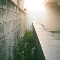 SuU - 映画