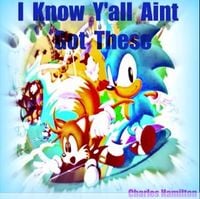 Charles Hamilton - I Know Ya'll Aint Got These
