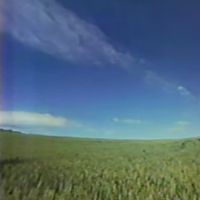 セカムの - 治癒