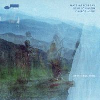 Nate Mercereau - Openness Trio