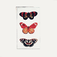 life - demo ten
