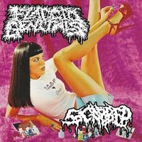 Flaccid Genitals - Scabbed Genitals