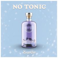 Stolen Gin - No Tonic