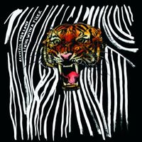 Acoustic Ladyland - Living with a Tiger