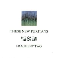 These New Puritans - Fragment Two