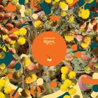 Sampology - Ripen Vol. 1
