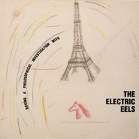Electric Eels - Having A Philosophical Investigation With The Electric Eels