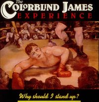 The Colorblind James Experience - Why Should I Stand Up?