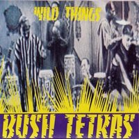 Bush Tetras - Wild Things