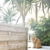 Heleeenyum - INSTRUMENTALS 1-8