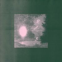 Mruwki - Wyspa