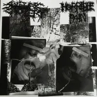 Sulfuric Cautery - Sulfuric Cautery / Horrible Pain