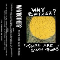Why Bother? - There Are Such Things