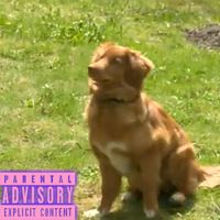 CRZFawkz - DOG $HIT