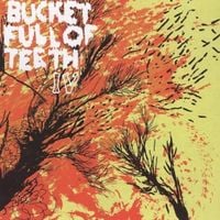 Bucket Full of Teeth - IV