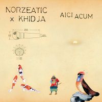 Norzeatic - Aici acum