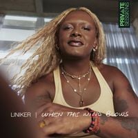 Liniker - When The Wind Blows